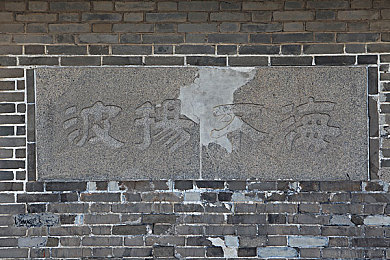 huangserukou：神秘黄鼬传说：探寻生态传奇之旅-2