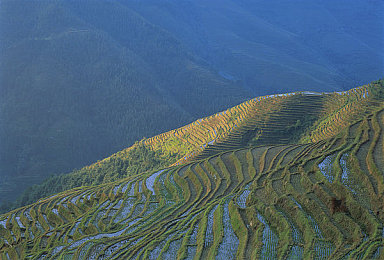 亚洲曰本多毛毛茸茸茸：萌动东京：毛茸茸咖啡店掀起潮流新风潮-2