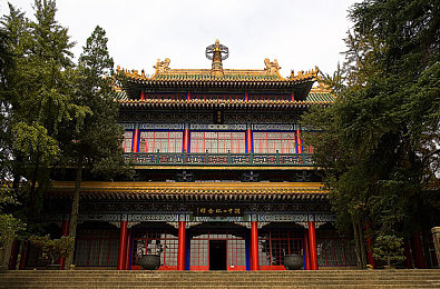 强 the癶乀pro中国：电竞盛宴，巅峰对决，中国电竞新纪元-3