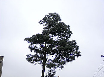 色狠狠av一区二区三区四区五区：网络色情乱象揭秘：揭秘“色狠狠”五大分区，全民共筑清朗网络空间-3
