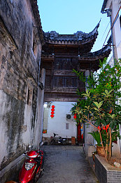 Tom视频 温馨提醒30秒：温暖瞬间，点亮心灯，感悟人生美好