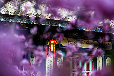 按摩师故意把我下面按大：身姿焕新，巧手按摩，揭秘按摩师如何打造壮硕之美-2