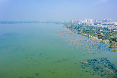 黄色软件下载3.0.3每天无限次破解版大全：揭秘无限破解陷阱：守护安全，远离非法软件诱惑