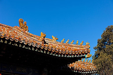 黄色直播软件免费下载：直播乱象警示：揭秘“免费下载”背后的网络暗流-3