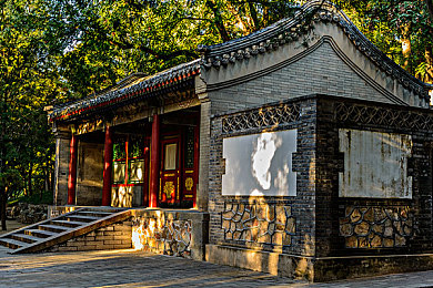 一面亲上边一面膜下边文字的用法：《迷雾森林》独特文字谜题解析，探险攻略助力解谜之旅-3