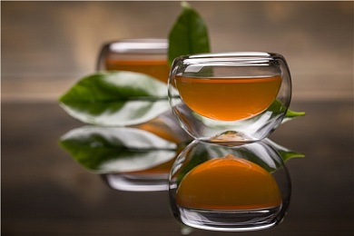 我的茶艺老师娜娜个人资料：茶乡瑰宝，娜娜茶艺之旅绽放独特魅力-3