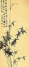 魅影直播：直播风云，创新领航，虚拟魅力，互动盛宴-4