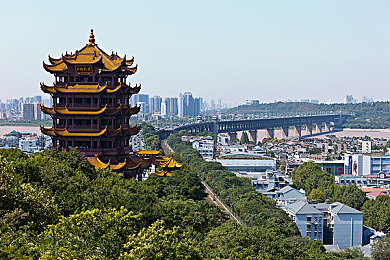 秘书边打电话边被躁：职场幕后英雄：揭秘秘书在电话狂潮中的瞬间应对与成长-2