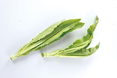 快猫短视频黄色：网络迷雾下的快猫：揭开短视频平台隐秘角落的警示之光-3