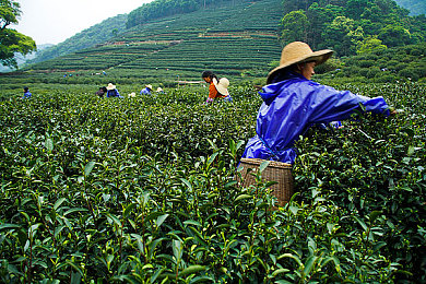 风间由美一区二区三区：虚拟世界畅游，三区体验不同风采-3