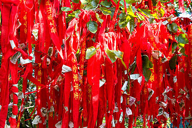 一百种黄色软件：探索神秘虚拟世界，百款奇趣软件助你闯关冒险