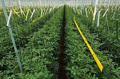 十大黄台视频禁用app软件安卓：网络净化行动：揭秘隐匿在暗夜中的违规软件，共筑清朗网络空间-3