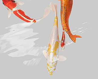 黑料网-今日黑料：《暗影传说》秘境探宝，黑市风云，智慧交易新篇章-4