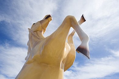 麻豆传媒入口：畅游娱乐海洋，探秘潮流盛宴-3