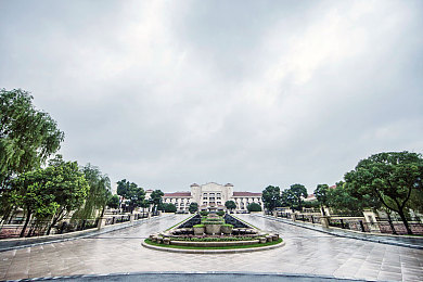 女生脱内衣软件：科技时尚新篇章，虚拟试穿引领潮流体验