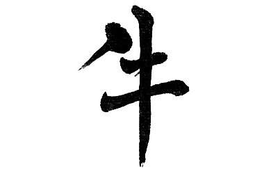 我睡了语文课代表：课堂趣事连连，趣味互动游戏引关注：揭秘“睡”课代表背后的欢乐时光