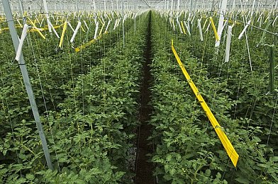 朝阳群众娜娜老师：社区教育，筑梦和谐，共筑智慧人生-4