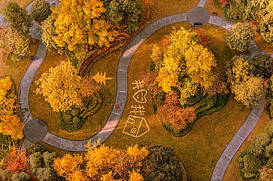 陈冠希和阿娇的初吻在哪一集：陈冠希阿娇初吻浪漫瞬间揭秘：电视剧剧情转折点引发热议-2