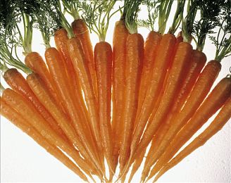 这这里只有精品：精品游戏天堂，极致体验尽在掌握-2