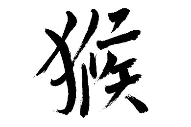 538porm任你爽免费视频：剑影魔幻征途，畅游艾瑟兰神秘世界-4