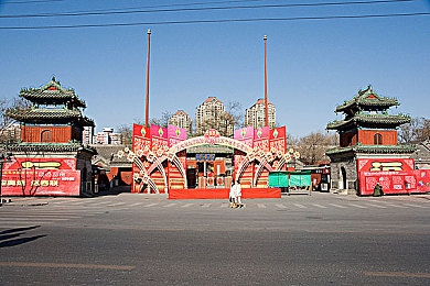 杨敏思版第5卷：文学巨匠之旅：情感波澜，历史画卷-5