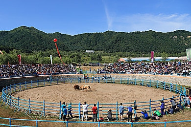 艳女直播hd：高清画质革新直播体验，艳女直播平台引领行业新潮流，打造视觉盛宴与社交新天地-4