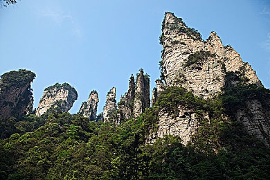 701.ccm绿茶：神秘绿洲探秘之旅，绿茶秘境宝藏等你来寻-5