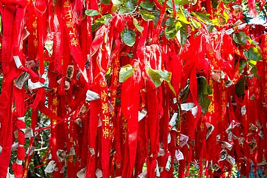 黄台科普下载：科技赋能科普，知识触手可及，创新平台助力全民科学素养提升-4