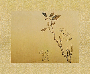 机对机机手机免费下载版大全：“应用盛宴，安全护航：揭秘免费应用下载新潮流”-3