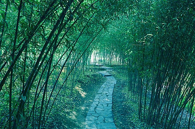 成人福利App导航入口：畅游成人乐园，轻松导航享福利-5