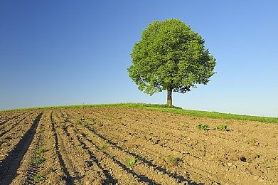按摩师故意把我下面按大：身姿焕新，巧手按摩，揭秘按摩师如何打造壮硕之美-3