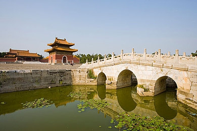伦理年轻漂亮的岳 4：“美丽争议：岳某言论激荡伦理反思，社会价值观再探讨”-5