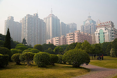 秀色直播app软件大全下载：指尖直播盛宴，秀色无限精彩探秘-3