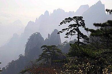 六月丁香婷婷激情：古城丁香花海盛放，赏花热潮见证文旅融合新篇章-2