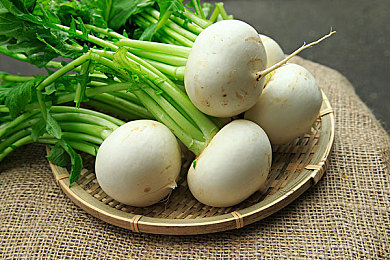 bt引擎-蚂蚁：绿色未来，智能启航：引领新能源汽车新纪元-4
